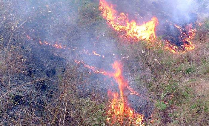 ചൂ​ട്, തീ