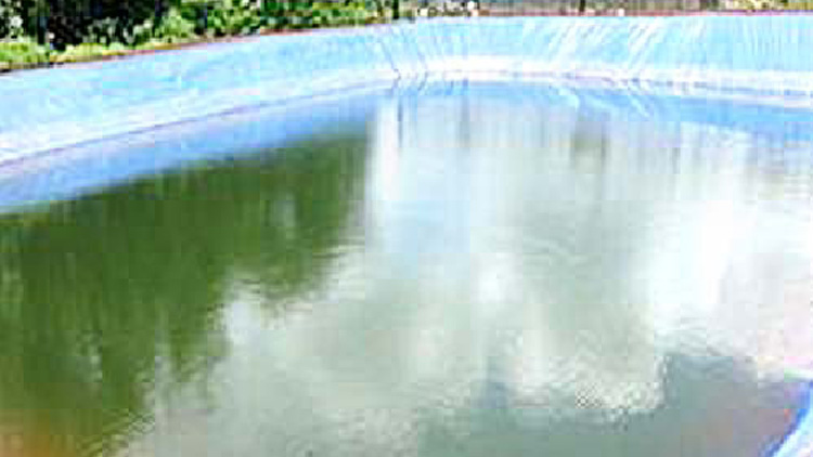 സുരക്ഷയില്ല; ജീവനെടുത്ത്​  ഹൈ​റേ​ഞ്ചിലെ പടുതക്കുളങ്ങൾ