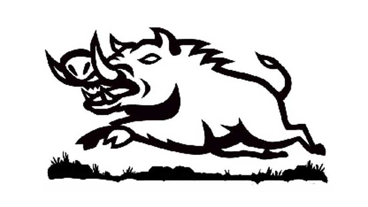 പന്നിക്കൂട്ടം സ്വൈരജീവിതം കുത്തിമറിക്കുന്നു