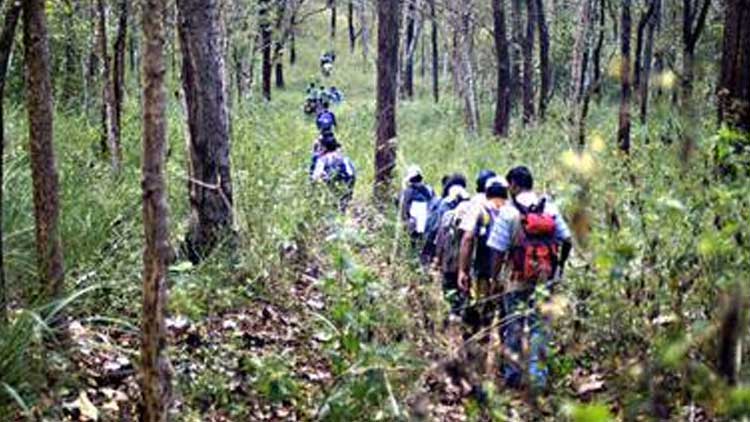 വനത്തിൽ അനധികൃത ട്രക്കിങ്; എട്ടുപേർക്കെതിരെ കേസ് 