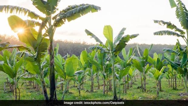 സമ്പത്തിന്‍െറ കൈകാര്യക്കാര്‍