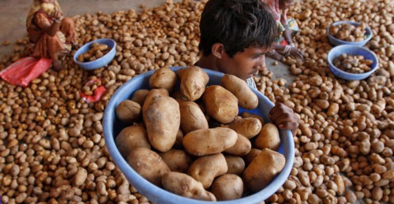 india-potatoes