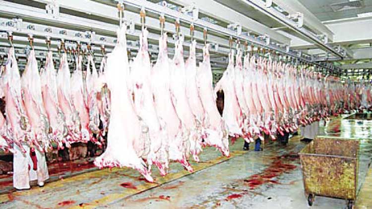 ബ​ലി പെ​രു​ന്നാ​ൾ: അ​റ​വു​ശാ​ല​ക​ളും ക​ന്നു​കാ​ലി വി​പ​ണി​യും ഒ​രു​ങ്ങു​ന്നു