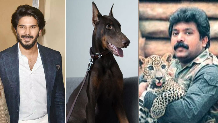 പട്ടിയുടെ പേര്​ പ്രഭാകരൻ, അധിക്ഷേപവുമായി തമിഴർ; പുലിവാല്​ പിടിച്ച്​ ദുൽഖർ