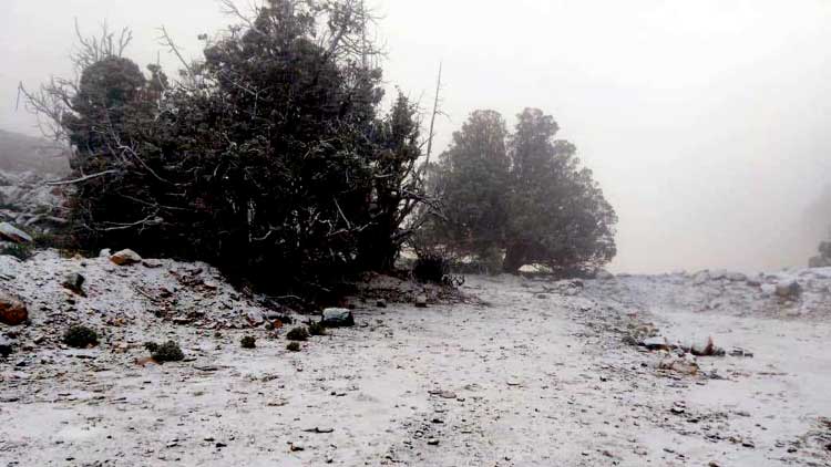 താ​പ​നി​ല താ​ഴ്​​ന്നു; ജ​ബ​ൽ​ഷം​സി​ൽ മ​ഞ്ഞു​വീ​ഴ്​​ച