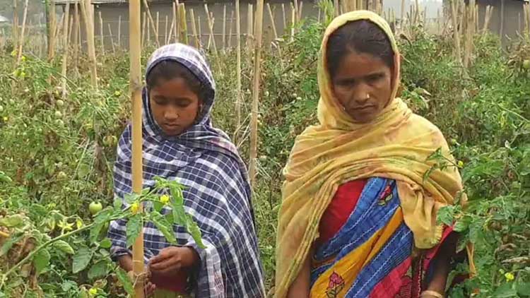 നീതി എന്നു ലഭിക്കും? ജബീദയെപ്പോലെ ലക്ഷക്കണക്കിനുപേർ ചോദിക്കുന്നു