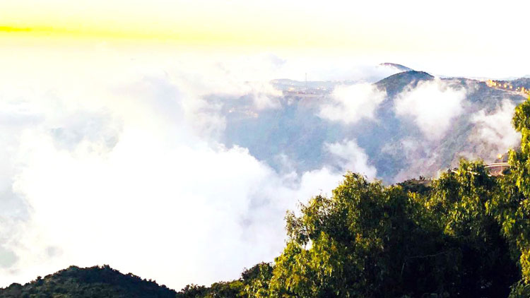 ദ​ക്ഷി​ണ സൗ​ദി​യി​ൽ ശീ​ത​ക്കാ​റ്റ്​