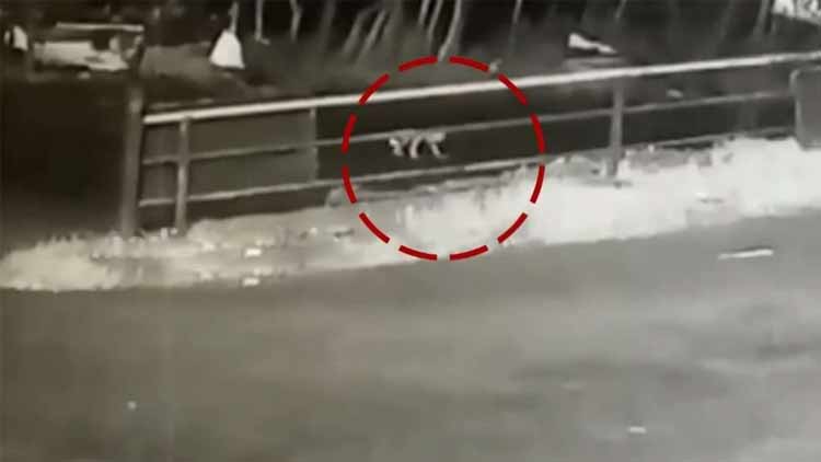 ജീപ്പിൽ നിന്ന് കുഞ്ഞ് തെറിച്ച് വീണ സംഭവം; മാതാപിതാക്കള്‍ക്കെതിരെ കേസെടുത്തു