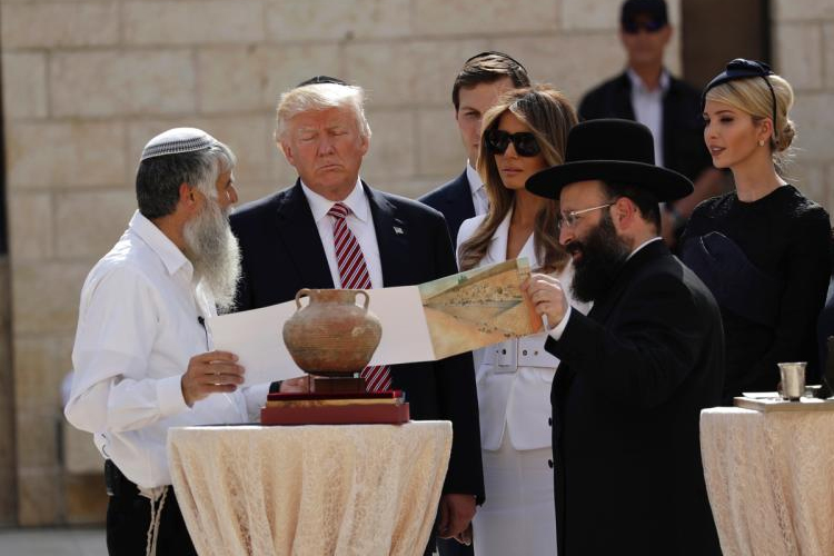 jew-trump jew-trump