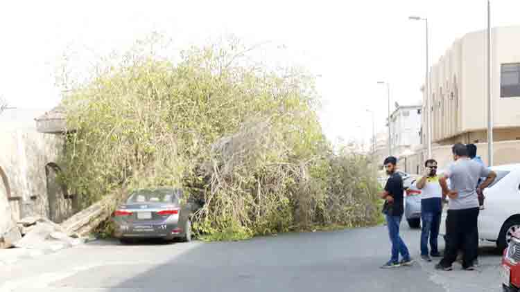 കാറിനു മുകളിൽ മരം വീണു;  മലയാളി രക്ഷപ്പെട്ടത് തലനാരിഴക്ക്​