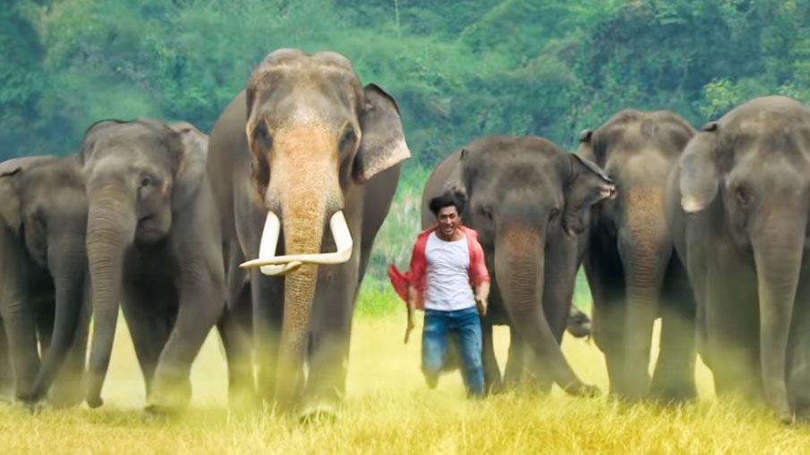 junglee-trailer junglee-trailer