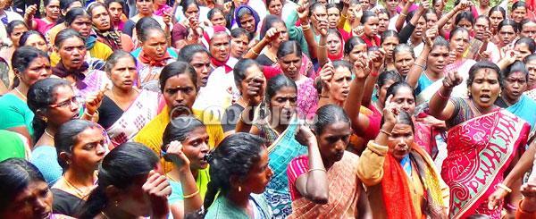 ചര്‍ച്ചയുടെ ആവേശത്തില്‍ സൂര്യനെല്ലിയിലെ തൊഴിലാളികളും