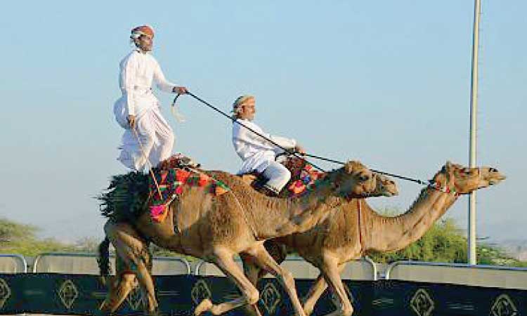 ‘അ​ർ​ദ’ കാ​യി​ക വി​നോ​ദം യു​നെ​സ്​​കോ സാം​സ്​​കാ​രി​ക-​പൈ​തൃ​ക പ​ട്ടി​ക​യി​ൽ