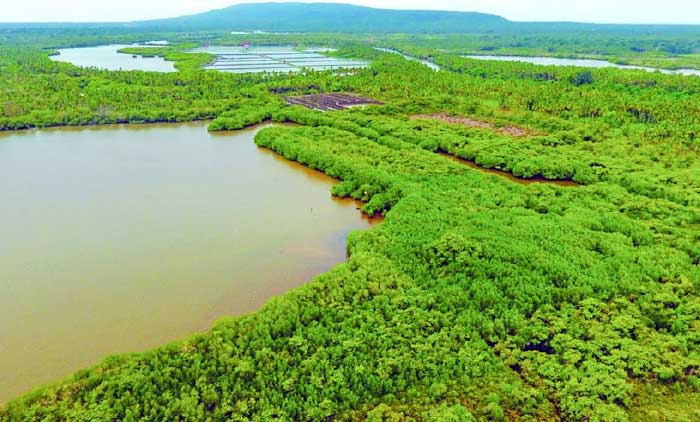 അവർ വിലകൊടുത്തുവാങ്ങിയത്​ നാടി​ന്​ ഹരിതകവചം