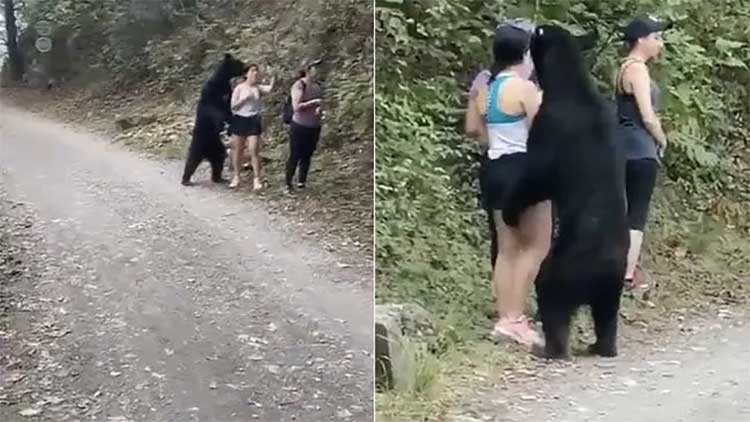 കരടി വന്നപ്പോൾ മാതേവ​െൻറ അടവെടുത്ത്​ യുവതി; വൈറലായി വിഡിയോ