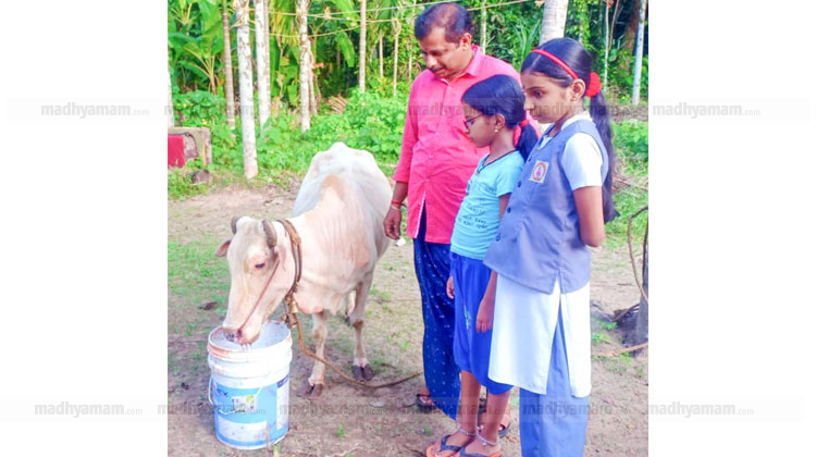 41​െൻറ നിറവിൽ വെളുമ്പി മുത്തശ്ശി