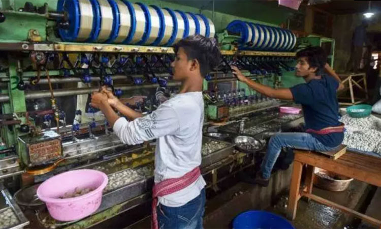 kashmir-silk-factory kashmir-silk-factory