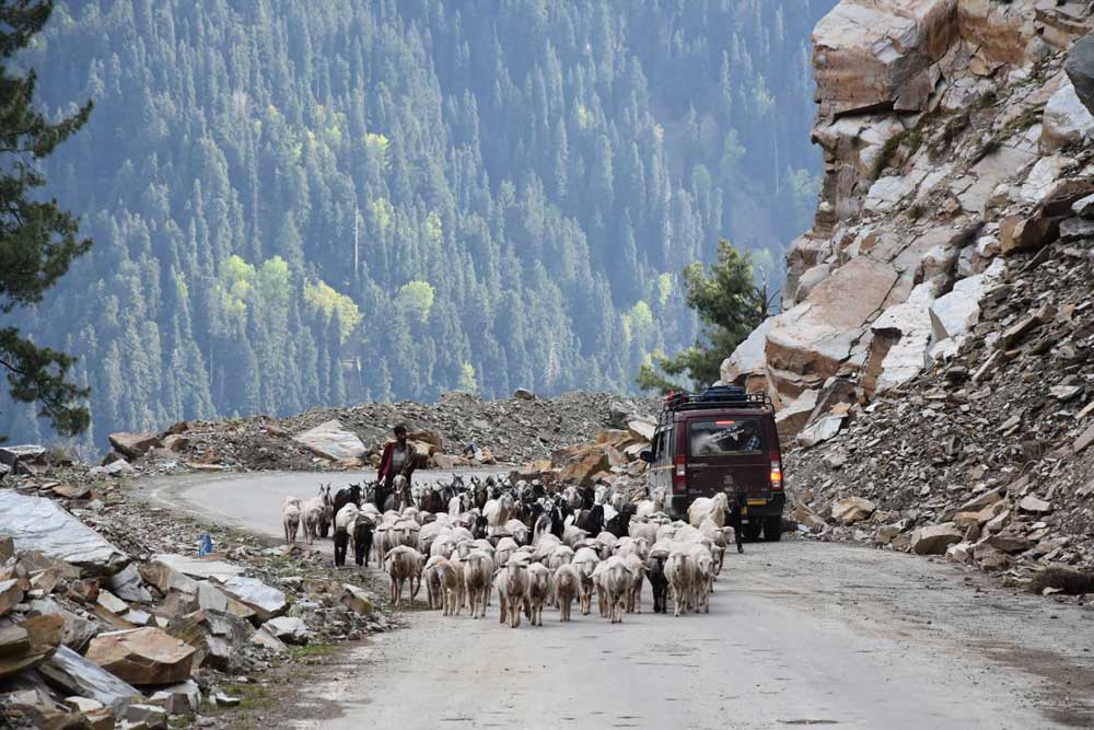 ഒ​രു നാ​ടോ​ടി കാഴ്​ച