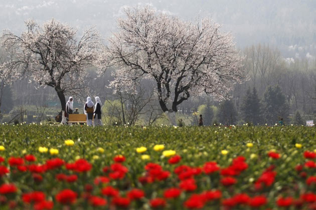 സീക്രറ്റ് ഓഫ് കശ്മീർ-കശ്മീരി സ്ത്രീകളുടെ അതിജീവനത്തിന്‍െറ കഥ