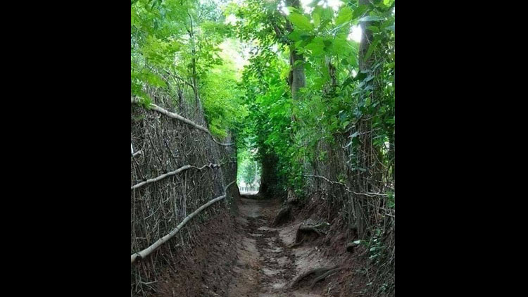 വിശപ്പിന്‍റെ സുഗന്ധം