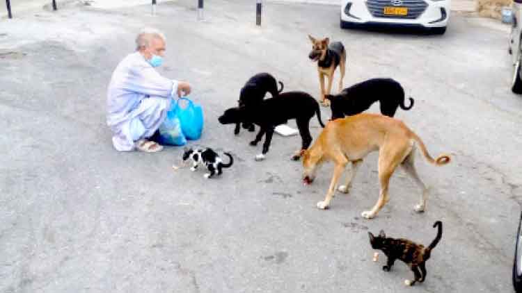 ലോക്ഡൗൺ: പട്ടിണിയിലാക്കിയ മിണ്ടാപ്രാണികൾക്ക് കരുതലുമായി ഖാൻ സാഹിബ് ലോക്ഡൗൺ: പട്ടിണിയിലാക്കിയ മിണ്ടാപ്രാണികൾക്ക് കരുതലുമായി ഖാൻ സാഹിബ്