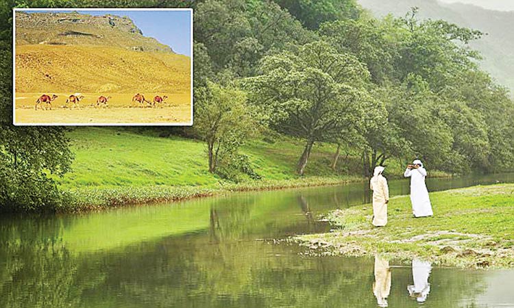 സ​ലാ​ല അ​റ​ബ്​ വേ​ന​ൽ​ക്കാ​ല റി​സോ​ർ​ട്ടു​ക​ളു​ടെ ത​ല​സ്​​ഥാ​നം