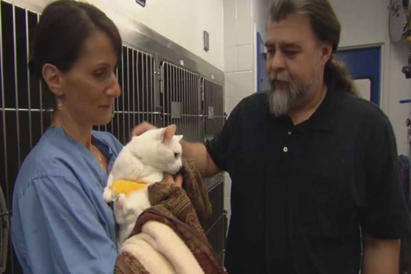 വളര്‍ത്തുപൂച്ചയുടെ വൃക്ക മാറ്റിവെക്കാന്‍ ചെലവായത് 30,000 ഡോളര്‍!