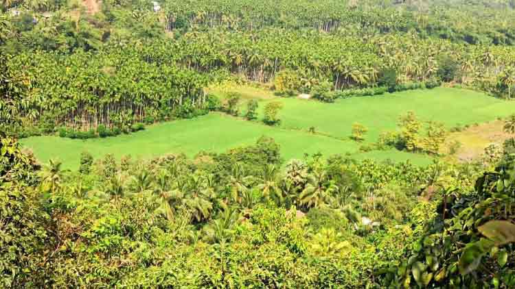 കിദൂരും ഇടയിലക്കാടും പൈതൃകകേന്ദ്ര പട്ടികയിലേക്ക്​