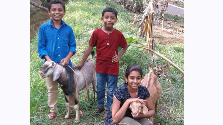 kids-meet-goat