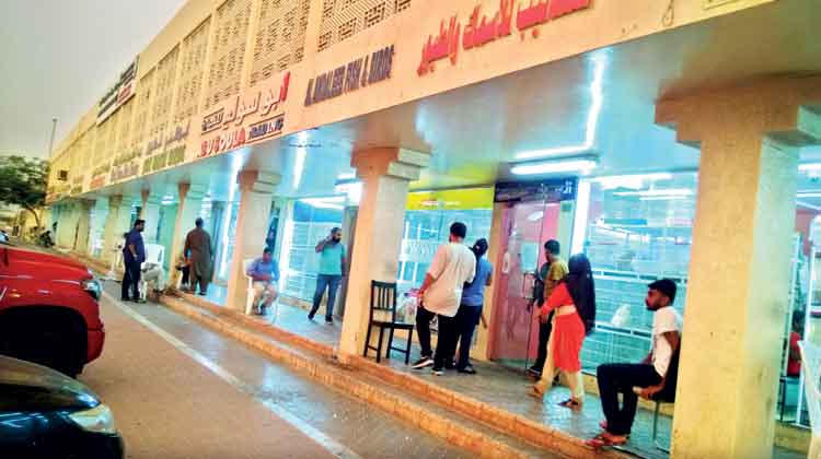 ക​ണ്ണി​ന് ക​ു​ളി​രു പ​ക​ർ​ന്ന് മി​ന മാ​ർ​ക്ക​റ്റി​ലെ ഓ​മ​ന​പ്പ​ക്ഷി​ക​ൾ