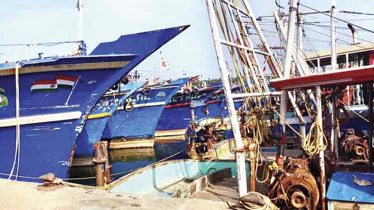 കടൽ കനിയുന്നില്ല; മത്സ്യമേഖലയിൽ വറുതി