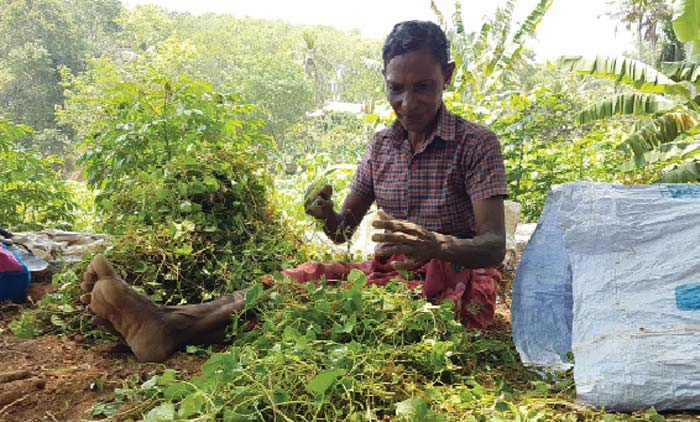 രാധയുടെ ജീവിതത്തിൽ വഴിത്തിരിവായി ‘കുടങ്ങൽ’