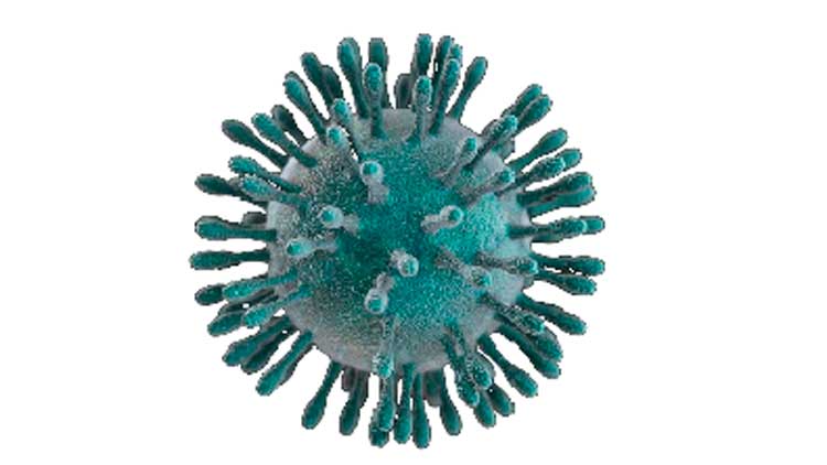 കൊറോണ വൈറസ്:  സ്ഥിതി നിയന്ത്രണവിധേയം