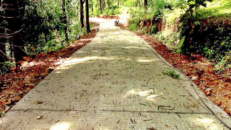 റോ​സ്മ​ല കാ​ന​ന​പാ​ത​യു​ടെ നി​ർ​മാ​ണം പൂ​ർ​ത്തി​യാ​യി