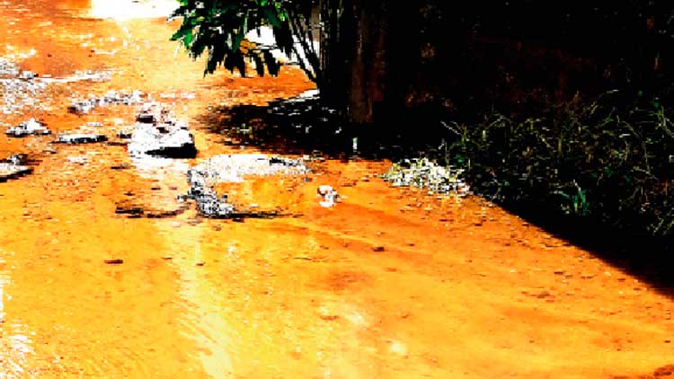 പൈപ്പ് തകർന്ന് വൻതോതിൽ കുടിവെള്ളം പാഴാകുന്നു