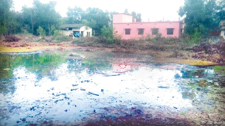 കുളമല്ല; കുടിനീർ