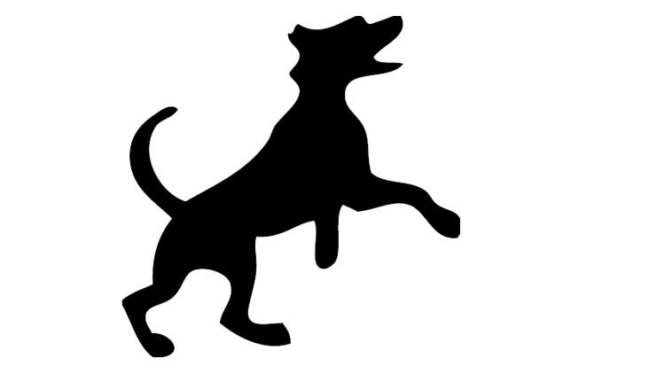 തളിപ്പറമ്പിൽ തെരുവുനായുടെ അക്രമം: 11 പേർക്ക് പരിക്ക്