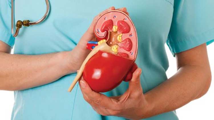 വൃ​ക്ക​മാ​റ്റി​വെ​ച്ച​വ​ർ​ക്ക്​ സൗ​ജ​ന്യ മ​രു​ന്നു​മാ​യി ജി​ല്ല പ​ഞ്ചാ​യ​ത്ത്​