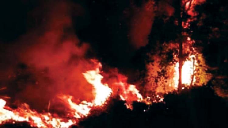 ആലക്കോട്​ എസ്​റ്റേറ്റിൽ തീപിടിത്തം