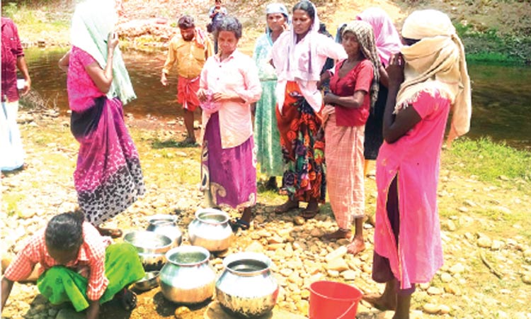 ആദിവാസി കുടുംബങ്ങൾ  കുടി​െവള്ളം കിട്ടാതെ വലയുന്നു
