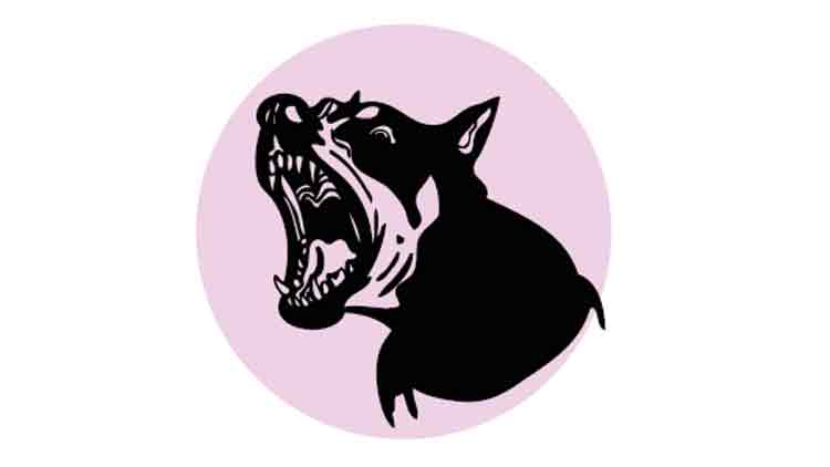 തലശ്ശേരിയിൽ പത്തുപേർക്ക് തെരുവുനായുടെ കടിയേറ്റു