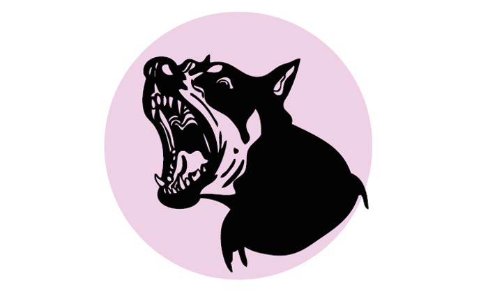 തെരുവുനായ്​ ആക്രമണത്തിൽ നാലുപേർക്ക്​ പരിക്ക്​