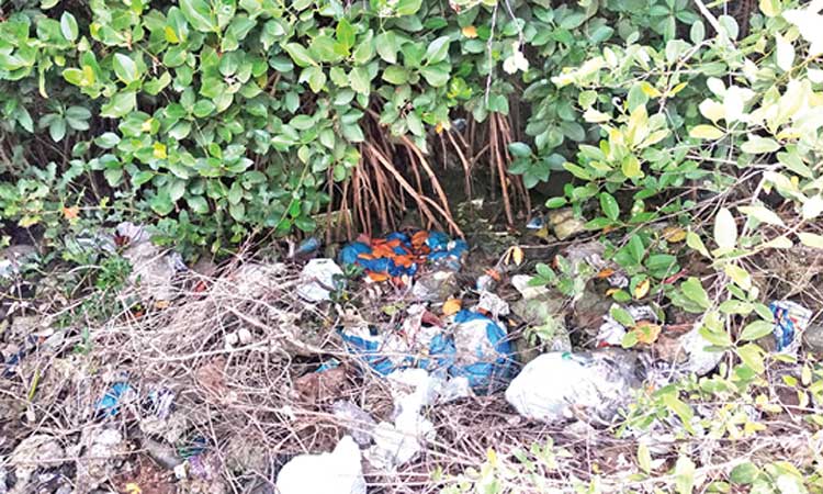 കണ്ടൽക്കാടിനുള്ളിലും പാതയോരത്തും മാലിന്യം തള്ളുന്നു