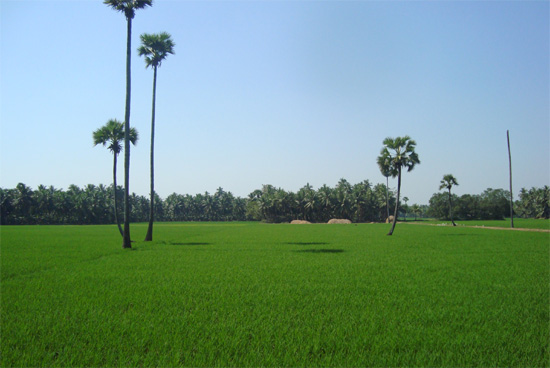 കേരളം പോലൊരു നാട്