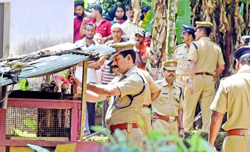 ദുരൂഹ മരണങ്ങളുടെ വിവരങ്ങൾ ശേഖരിക്കുന്നു