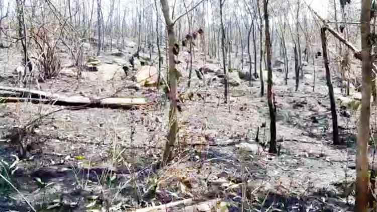 കൊറ്റമ്പത്തൂരിൽ ഫയർ ലൈനിന്‍റെ പേരിൽ ഉദ്യോഗസ്ഥർ തട്ടിയത് കോടികൾ