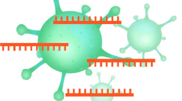 കോവിഡ്​ റി​പ്പോർട്ട്​: ഷാമിയ, സഅദ്​ അബ്​ദുല്ല സഹകരണ സംഘങ്ങൾ പൂട്ടി