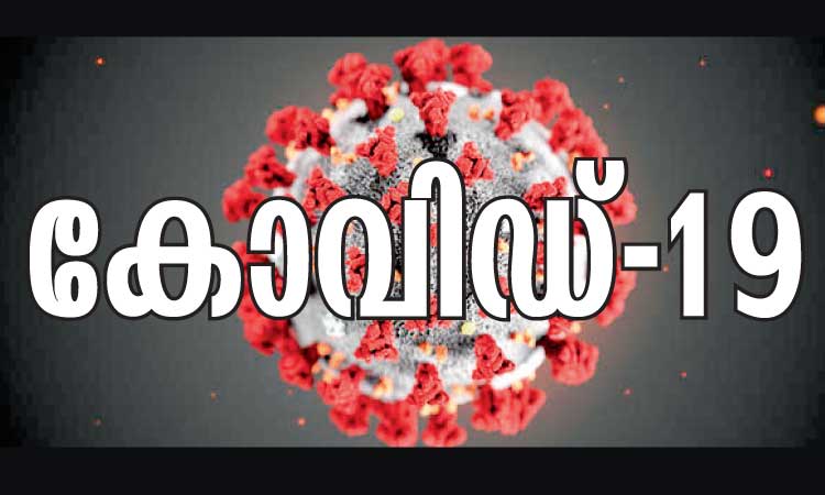 ആനുകൂല്യവുമായി ഇന്ത്യൻ വിമാനക്കമ്പനികളും