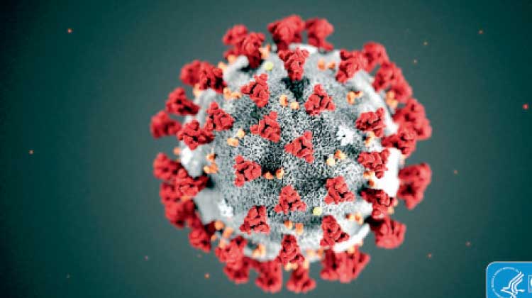 നാട്ടിലുള്ളവരുടെ റീഎൻട്രി വിസ പുതുക്കാൻ കോവിഡ് കാലം കഴിയണമെന്ന് നാട്ടിലുള്ളവരുടെ റീഎൻട്രി വിസ പുതുക്കാൻ കോവിഡ് കാലം കഴിയണമെന്ന്