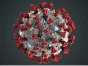 18 വ​യ​സ്സി​ൽ താ​ഴെ​യു​ള്ള​വ​രി​ൽ കോ​വി​ഡ്​ അ​പൂ​ർ​വം